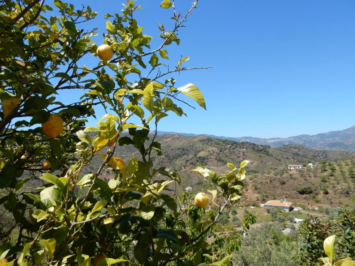 Casa Del Limonero Appartamento